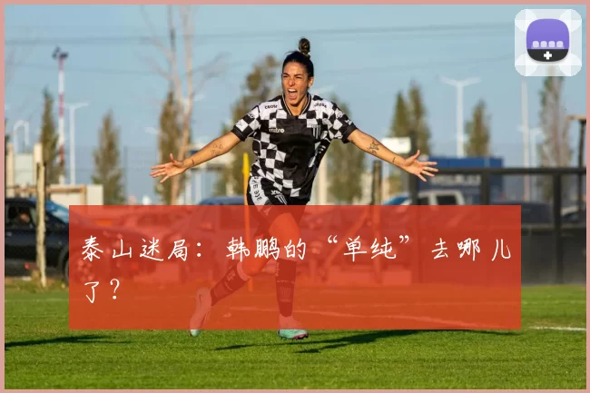 泰山迷局：韩鹏的“单纯”去哪儿了？