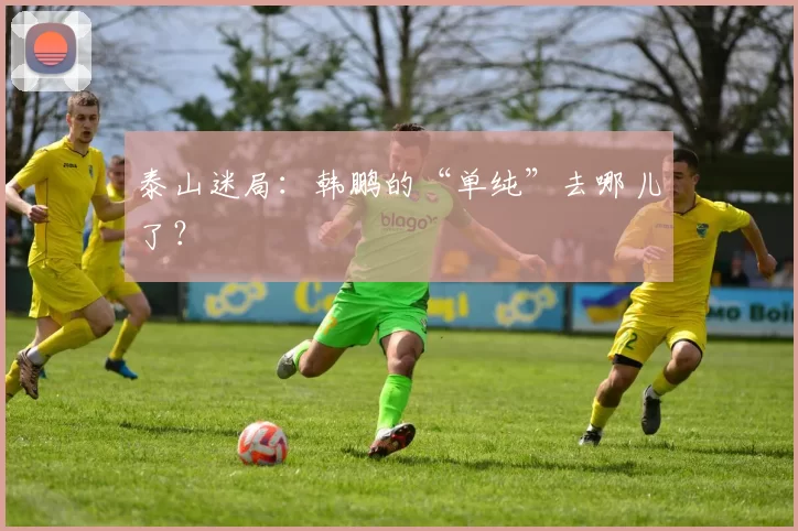 泰山迷局:韩鹏的“单纯”去哪儿了?