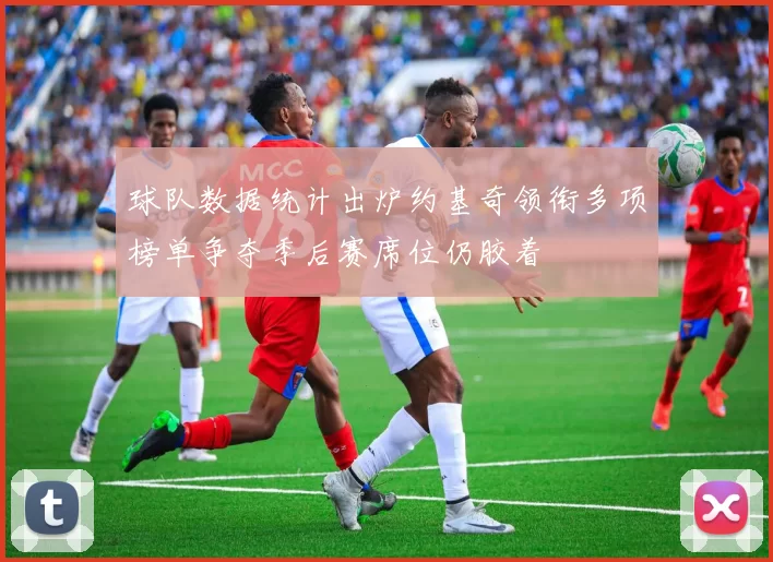 球队数据统计出炉约基奇领衔多项榜单争夺季后赛席位仍胶着